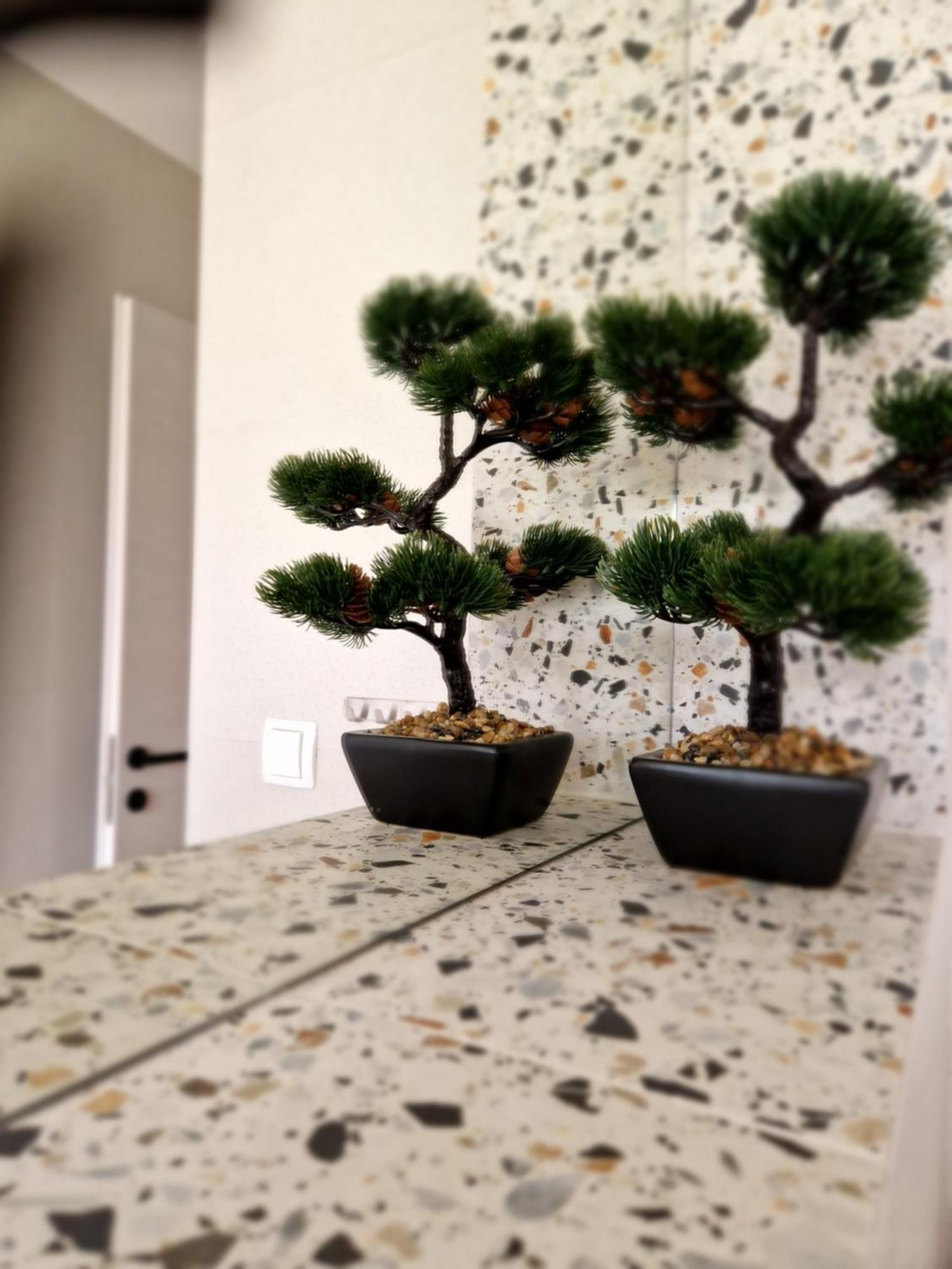 Apartment Marela 스플리트 외부 사진